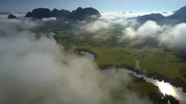 Ποτάμι που ελίσσεται σε ολόκληρη την κοιλάδα μεταξύ των ομίχλη ορεινών περιοχών — Αρχείο Βίντεο
