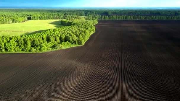 Vista superior vasta tierra cultivable marrón por bosque verde — Vídeos de Stock