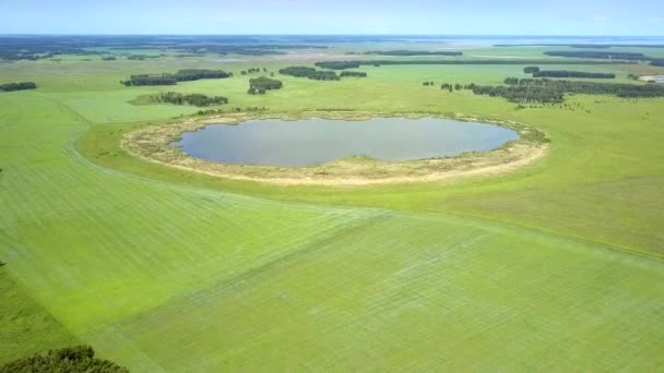 Bovenste deelvenster ronde meertje in de uitgestrekte groene velden — Stockvideo