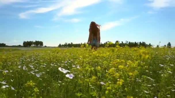 Вид с уровня цветка девушка ходит по гречишному полю — стоковое видео