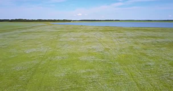 Widok górnej duże jezioro niebieski wśród pól gryka — Wideo stockowe