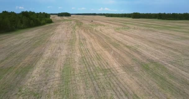 Voo sobre campo colhido sem limites com máquina — Vídeo de Stock