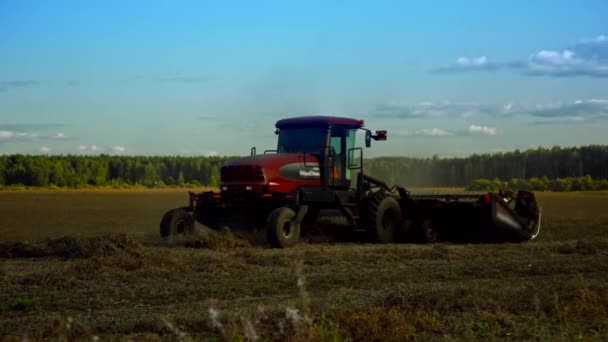Moderno rastrello trattore si muove su campi forma fasce di paglia — Video Stock