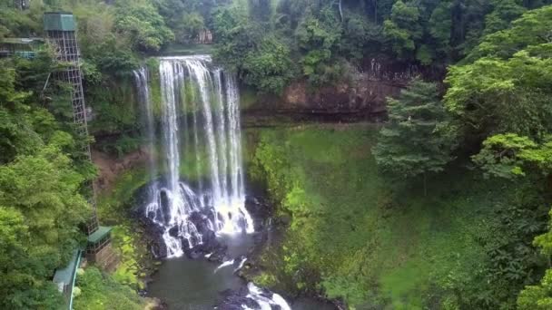 Alta vista aerea giungla intorno canyon fiume — Video Stock