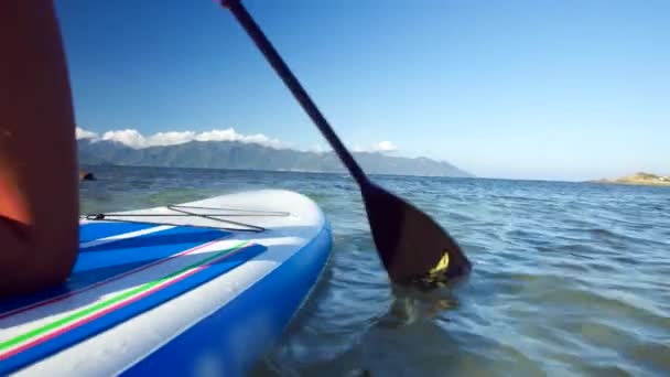 Paddleboard moderno e menina em biquíni flutua para trás vista — Vídeo de Stock