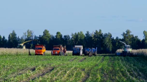 Auf umgekippten Mais-Erntemaschinen stehen Sattelschlepper im Wald — Stockvideo