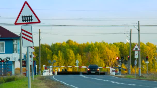 Train passes by railroad crossing car waits against forest — Stock Video