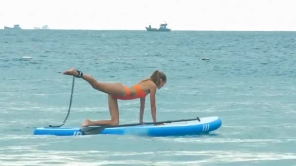 Junge Frau in Pose balanciert Katze auf Paddelbrett auf Ozean — Stockvideo
