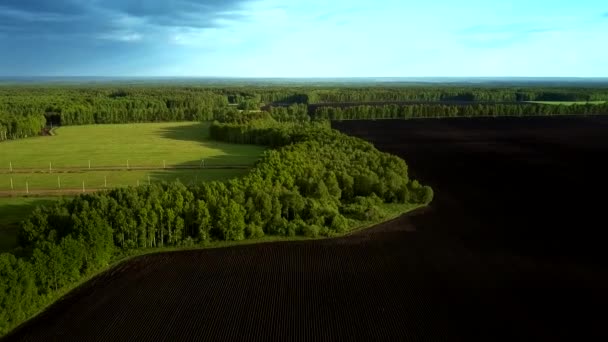 Wolkenschatten bedecken dunkles Feld und Wald — Stockvideo