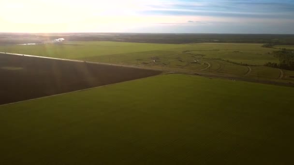 Bird eye flight over pictorial landscape with fields at sunset — Stock Video