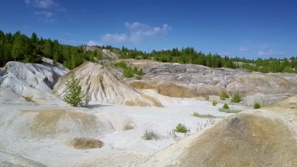 Espaço pedreira de barro velho sem vida contra a floresta distante — Vídeo de Stock