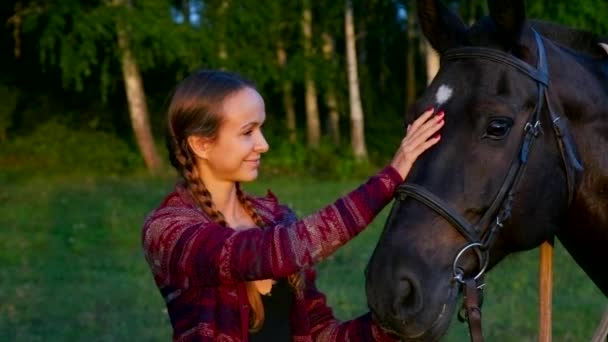 Cerrar vista bonita chica trazos caballo cara cerca de bosque — Vídeo de stock