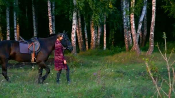 Frau führt Pferd unter Zaumzeug durch Birken — Stockvideo