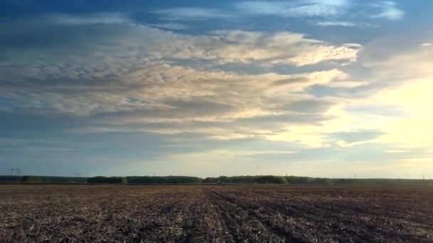 Sky with clouds lit by gold sun rays above field at sunset — Stock Video