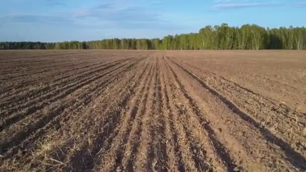 Movimiento sobre el campo arado con residuos en superficie a bosque — Vídeo de stock