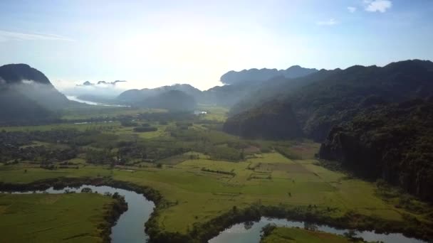 Luchtfoto groene vallei met bos onder heldere blauwe hemel — Stockvideo