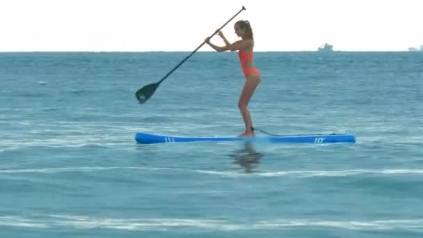 Blond Athletic Lady Ponytail Orange Swimsuit Stands Paddles Board Ocean — Stock Video