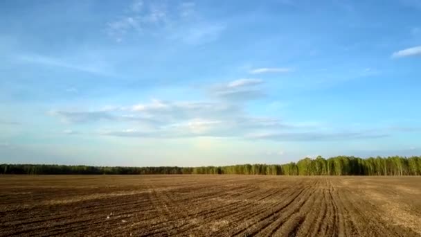 Рух над полем з оранкою коричневого ґрунту під блакитним небом — стокове відео