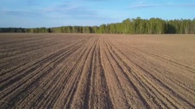 mavi gökyüzü altında nadas yalan topraklarında artıkları ile hasat ve sürülmüş alanın üzerinde ufukta ormandan gelen üst hareket