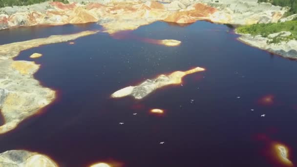 Estanque artificial en el pozo de arcilla abandonado con aves voladoras — Vídeos de Stock