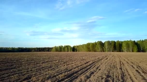 Vuelo aéreo desde el bosque verde sobre el campo arado — Vídeo de stock