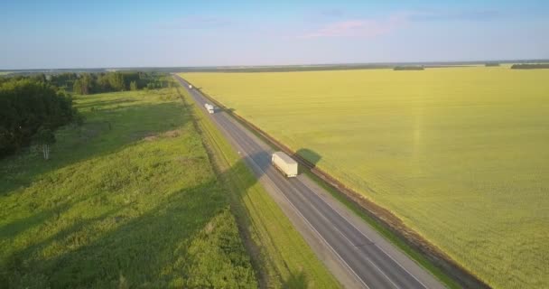 Snelweg met het rijden vrachtwagens vrachtwagens tussen veld- en olijfgaarden — Stockvideo