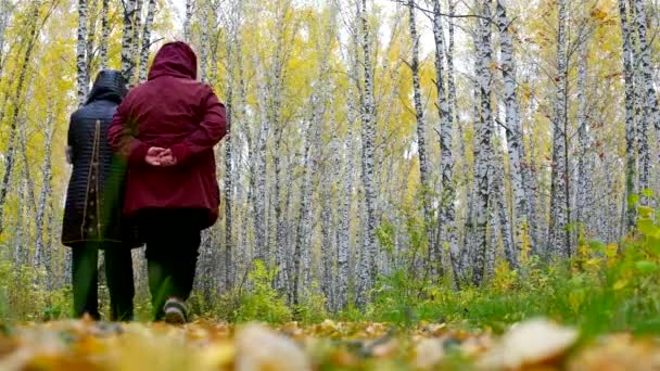 Senior las mujeres en chaquetas caminar entre oro abedules vista posterior — Vídeos de Stock