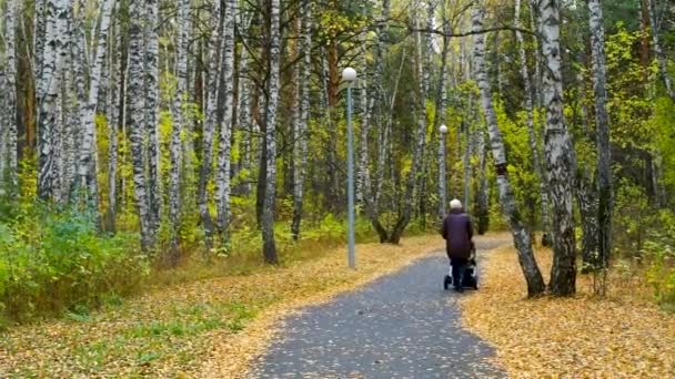 Вид сзади Бабушка гуляет с детской коляской в парке — стоковое видео