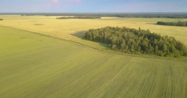 kuş gözü uçuş bahçeleri buğday alanları ve orman ufukta