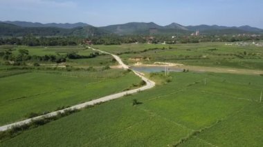 dağlar karşı büyük araziyi kırsal yolu havadan görünümü