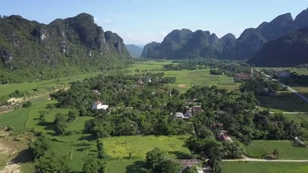 Casas de pueblo vista aérea entre árboles en valle verde — Vídeo de stock