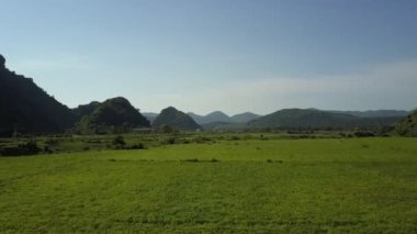 mavi gökyüzünün altında Vadisi'nde fıstık alanları üzerinde hareket kapatın