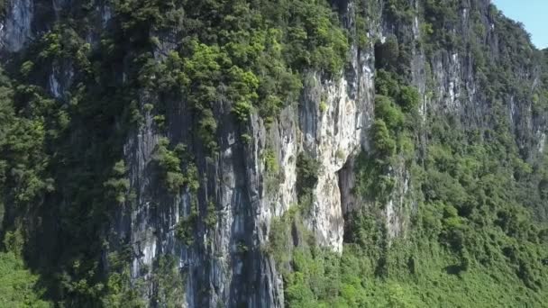 Vista aérea acantilado empinado cubierto de selva salvaje contra el cielo — Vídeos de Stock