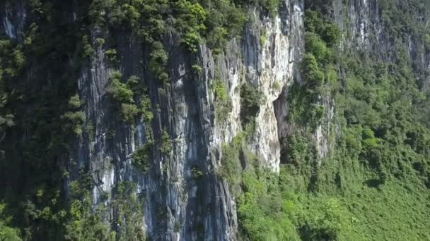 Güneş Işığına Çim Bush Larda Kaplı Hill Tarafından Yaktı Fantastik — Stok video