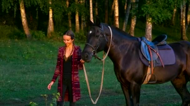 Pretty girl with plaits leads horse under bridle near forest — Stock Video