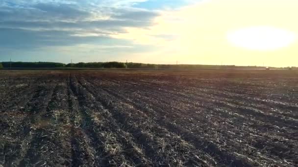 Зворотний політ з лісової дороги над оранжевим полем на заході сонця — стокове відео