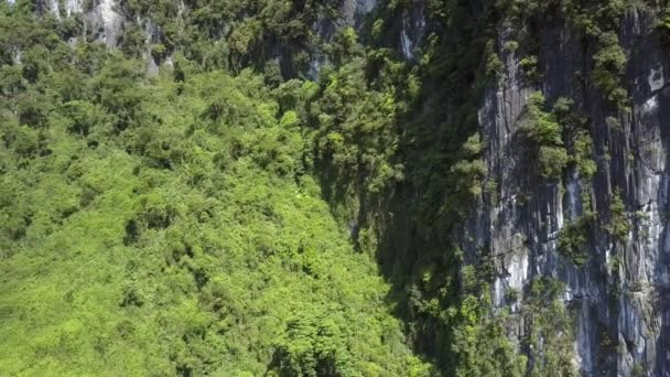 Movimiento de acantilado rocoso blanco gris a colina con plantas — Vídeo de stock