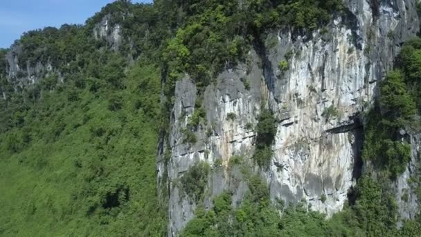 Stretta falesia aerea grigia e bianca in pietra con piante in cima — Video Stock