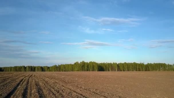 Bewegung über gepflügtes Feld zum grünen Wald am Horizont — Stockvideo