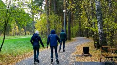 arka görünüm gençler paten silindirler park parça boyunca