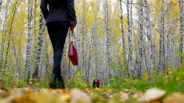 Стройная девушка с красной сумочкой следует за старушками в березовом парке — стоковое видео
