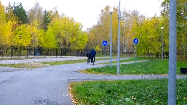 Chicos montar bicicletas a lo largo de pistas de asfalto en el parque de abedul amarillo — Vídeo de stock
