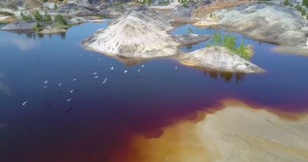 空中废弃的坑生态系统来到生命鸟类飞在上面 — 图库视频影像