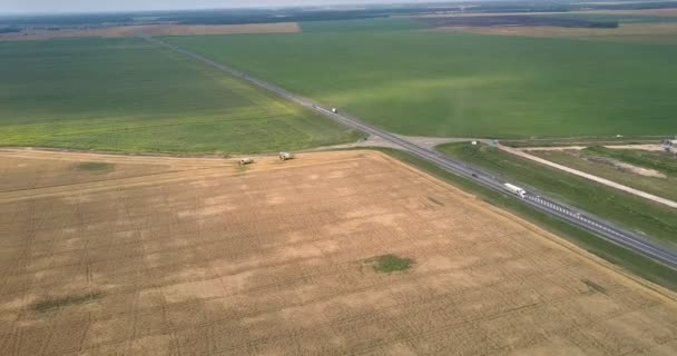 Vista panoramica campo di grano e prato attraversato da strada — Video Stock
