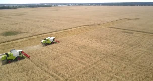 Aerial view combines harvest wheat against landscape — Stock Video