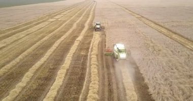 hasat Harman Makinaları alanların olgun kaynaklanıyor kesilmiş