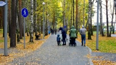 arka görünümü aileler çocuk scooter motosiklet ve bebek arabası ile sonbaharda Sarı huş park arasında yürümek 