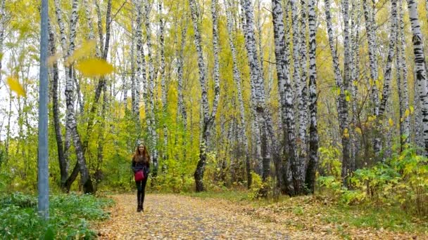 Slim κορίτσι στην κάμερα προσεγγίσεις παλτό σε κίτρινο πάρκο κομμάτι — Αρχείο Βίντεο