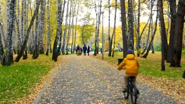 Los colegiales montan bicicletas rápido en pista de asfalto en el parque del abedul — Vídeo de stock