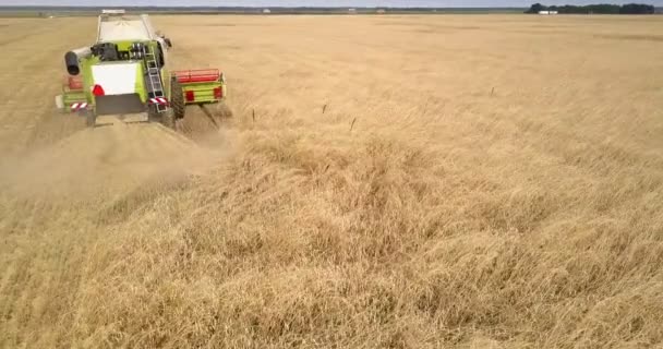 Letecký pohled na stroj popadne pšenice s hrábě proti obzoru — Stock video